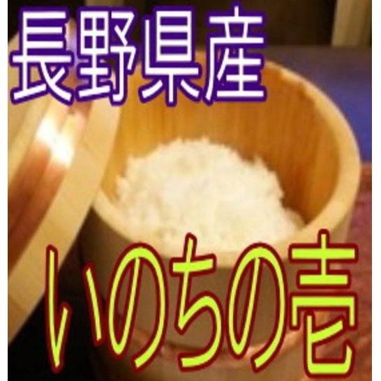 白米 いのちの壱 10kg 令和5年産 長野県産 　　