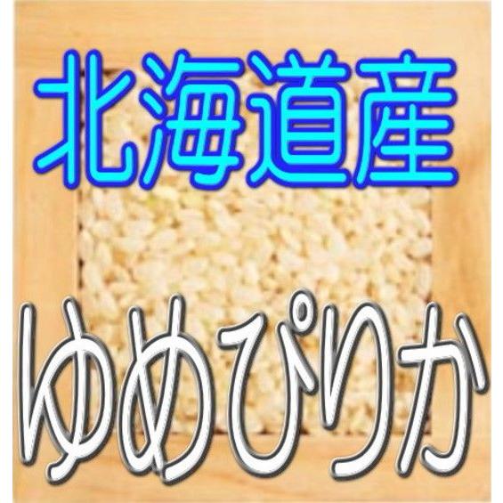 玄米 ゆめぴりか 5kg 令和5年産 北海道産 　