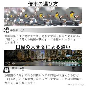 【公式】KOWA コーワ 双眼鏡 GENESI...の詳細画像4