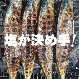ナチュラルレイクソルト No.1 25kg /...の詳細画像4