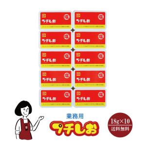 お清め塩 使い切り 携帯用 持ち運び用 お清め お祓い パワースポット