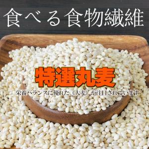 特選丸麦 5kg×2 計10kg / チャック...の詳細画像2