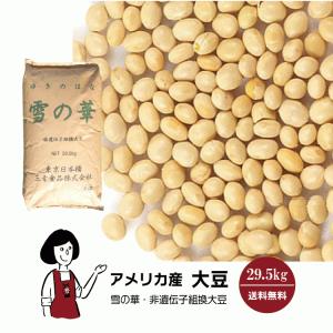 輸入大豆 カナダ産大豆 NON-GMO（遺伝子組み換えではない） 30kg 用途