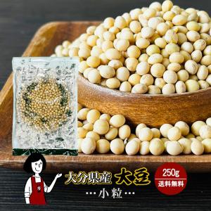 大分県産大豆《規格外・小粒》250g / チャック付 令和4年産
