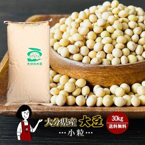 ※大分県産大豆《規格外・小粒》30kg / 令和4年産