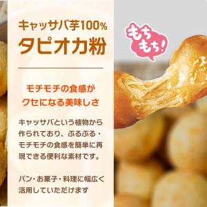 もちもちタピオカ粉 500g×20 計10kg...の詳細画像1