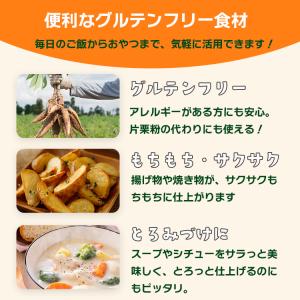 もちもちタピオカ粉 500g×20 計10kg...の詳細画像3