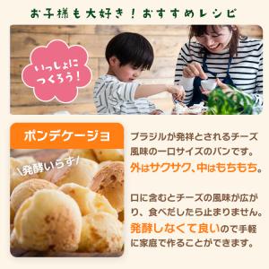 もちもちタピオカ粉 500g×20 計10kg...の詳細画像4
