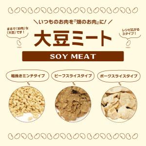 大豆ミート ビーフスライスタイプ・小 250g...の詳細画像2