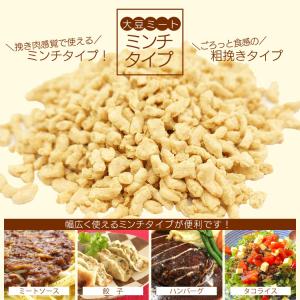 大豆ミート ビーフスライスタイプ・小 250g...の詳細画像5