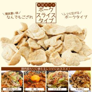 大豆ミート ポークスライスタイプ 800g×5...の詳細画像4