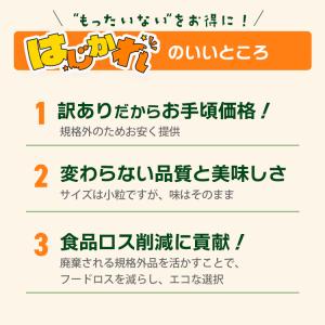 はじかれ 種抜きプルーン 1kg B品 チリ産...の詳細画像2