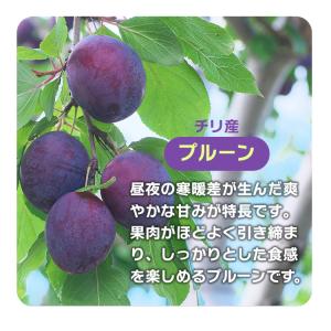 はじかれ 種抜きプルーン 1kg B品 チリ産...の詳細画像5