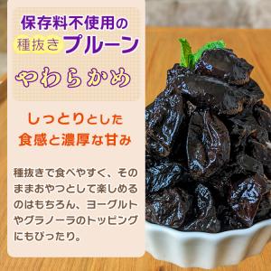 やわらかめ ドライフルーツ 種抜きプルーン 1...の詳細画像1