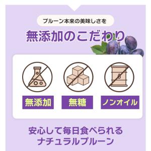 やわらかめ ドライフルーツ 種抜きプルーン 1...の詳細画像3