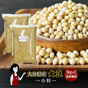 大分県産大豆《規格外・小粒》5kg×2 計10kg / チャック付 令和4年産