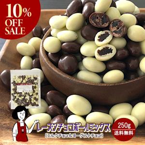 10%OFF!／レーズンチョコボールミックス［チョコ＆ヨーグルト］500g