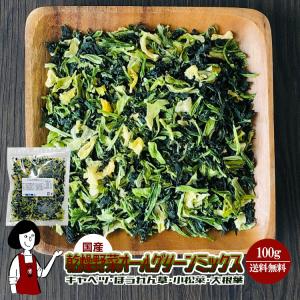 国産 乾燥野菜オールグリーンミックス 100g / チャック付｜kowakeya