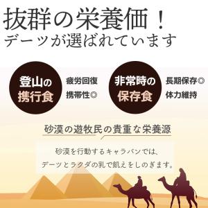種抜きデーツ 500g / チャック付〕の詳細画像5