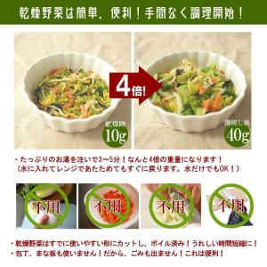 乾燥野菜ミックス 300g 国産 チャック付 ...の詳細画像2