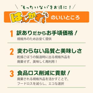 《はじかれ》乾燥ごぼう 300g / チャック付の詳細画像2