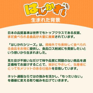 《はじかれ》乾燥ごぼう 300g / チャック付の詳細画像5