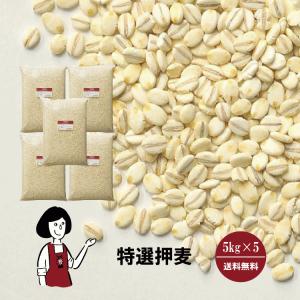 6個セット]コディアック プロテインパックドマフィンミックス