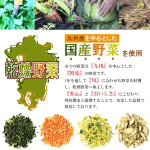 乾燥野菜グリーンミックス 300g 国産 チャ...の詳細画像3