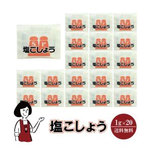 お清め塩 使い切り 携帯用 持ち運び用 お清め お祓い パワースポット