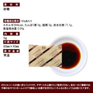 カラメルソース 5g×20袋 / カラメル プ...の詳細画像1