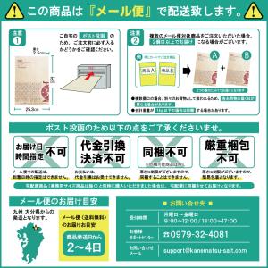 カラメルソース 5g×20袋 / カラメル プ...の詳細画像4