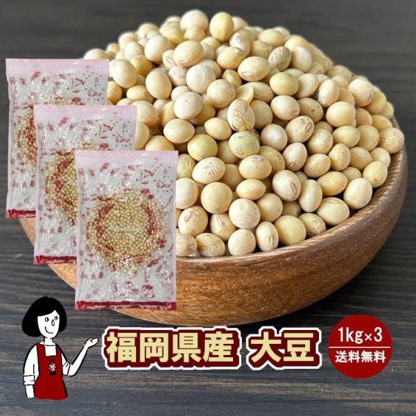 福岡県産大豆《ふくよかまる・特定加工用大豆合格・小粒》1kg×3 / チャック付 令和5年産