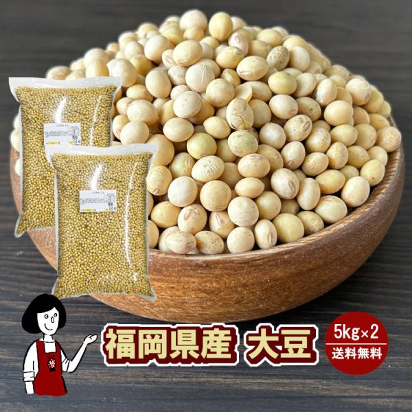 福岡県産大豆《ふくよかまる・特定加工用大豆合格・小粒》5kg×2 / チャック付 令和5年産