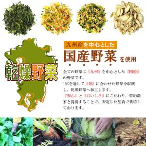 国産 乾燥野菜14種類から2袋(計200g)選...の詳細画像1