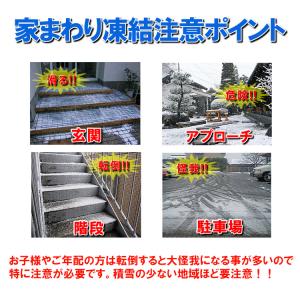 トクヤマ 塩化カルシウム 25kg / 融雪剤...の詳細画像3