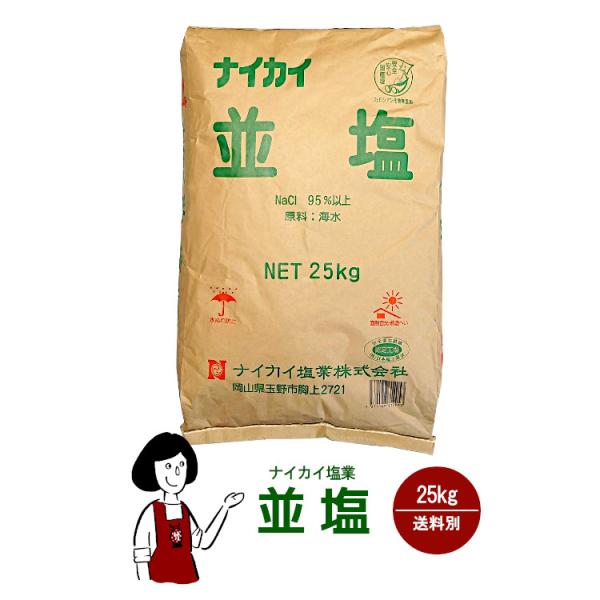 ナイカイ塩業 並塩 25kg