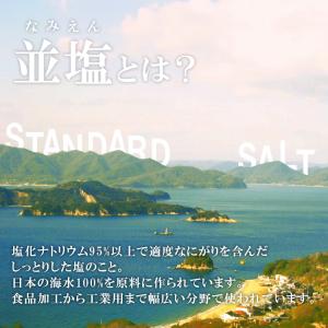 ナイカイ塩業 並塩 25kgの詳細画像1