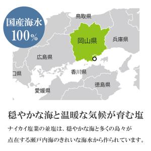 ナイカイ塩業 並塩 25kgの詳細画像3