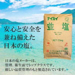 ナイカイ塩業 並塩 25kgの詳細画像5