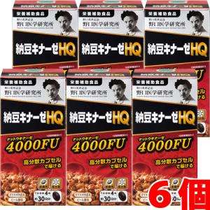 【6個セット】野口医学研究所 納豆キナーゼHQ 120粒×6個 （ナットウキナーゼ4,000FU）