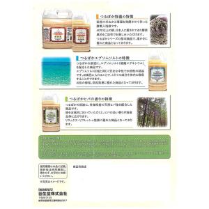 【正規販売店】【限定品・5リットルサイズ×2個...の詳細画像4