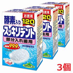 LION（ライオン） デントヘルス デンチャーケア 超音波入れ歯クリーン
