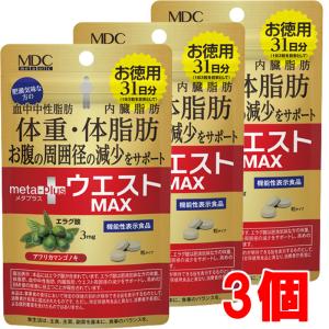 メタボリック メタプラス ウエストマックス 31日分 93粒