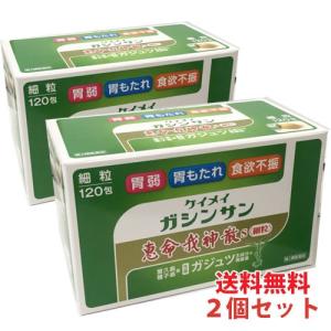 送料無料 恵命我神散Ｓ〈細粒〉120包×2個【第2類医薬品】｜koyama-p