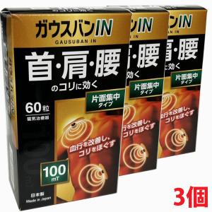 【3個セット】磁気治療器ガウスバンＩＮ （１００ｍＴ） 60粒×3個　【co-1】
