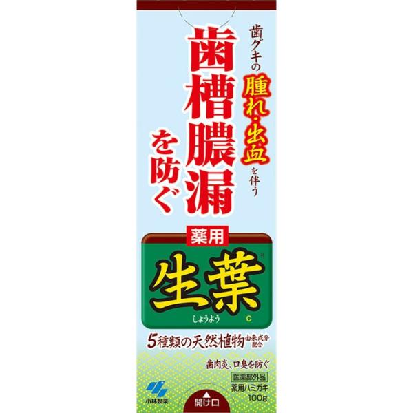 小林製薬 薬用生葉a（しょうよう）100g【医薬部外品】