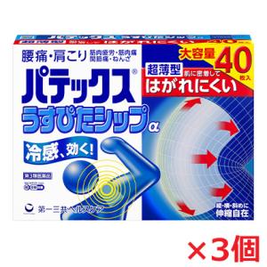 パテックスうすぴたシップの商品画像