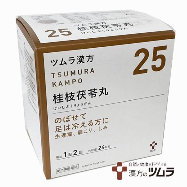 【25】【第2類医薬品】ツムラ漢方桂枝茯苓丸料エキス顆粒A 48包（24日分）