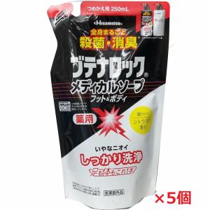 久光製薬 【3個】【メール便発送】【医薬部外品】ブテナロック