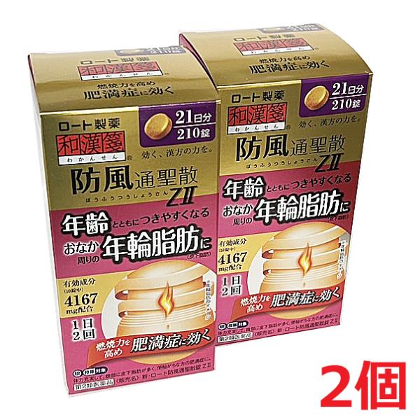 【2個セット】【第2類医薬品】新・ロート防風通聖散錠ZII 210錠（21日分）×2個